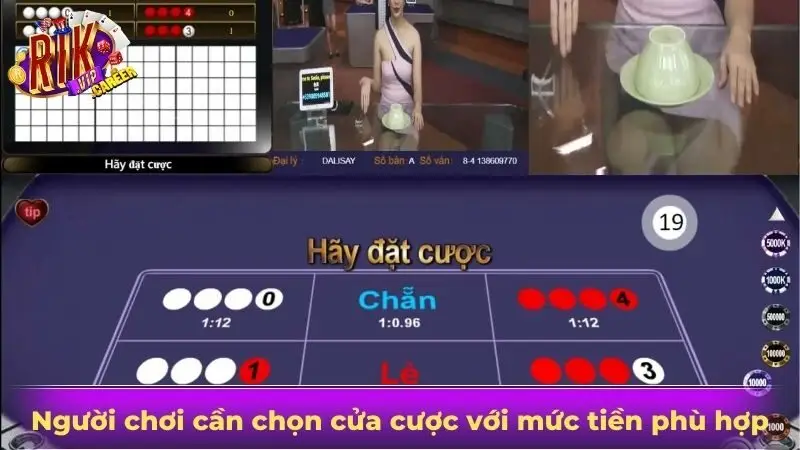 Người chơi cần chọn cửa cược với mức tiền phù hợp